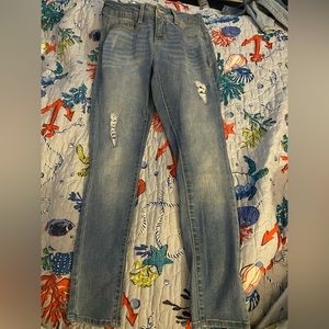 Time and Tru “super skinny” petite jeans
